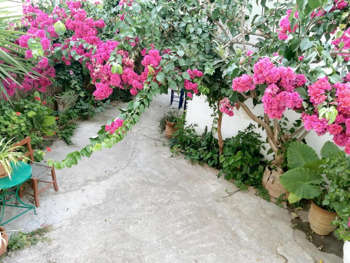 Katerina Rooms & Studios Palekastro Ngoại thất bức ảnh