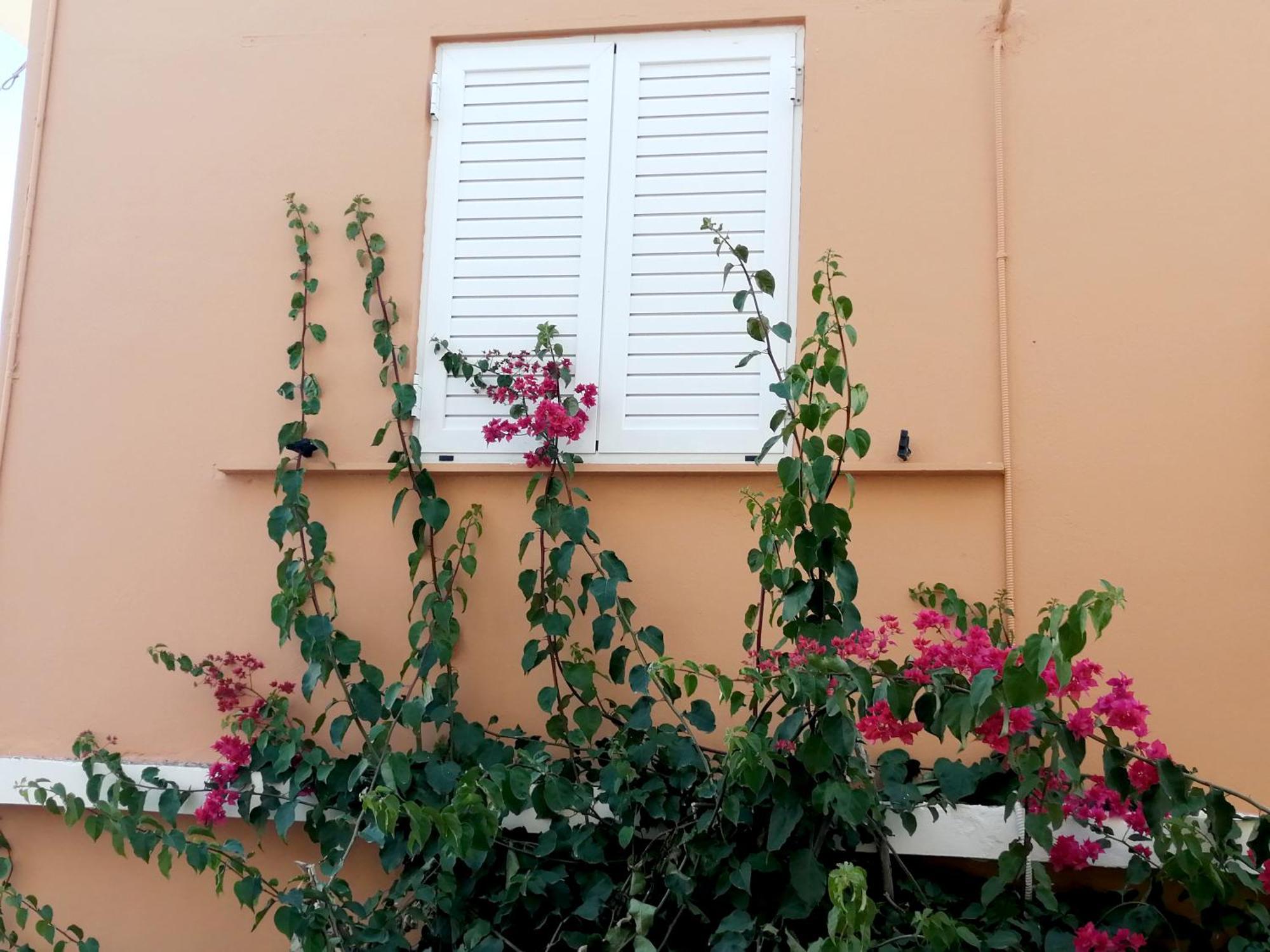Katerina Rooms & Studios Palekastro Ngoại thất bức ảnh