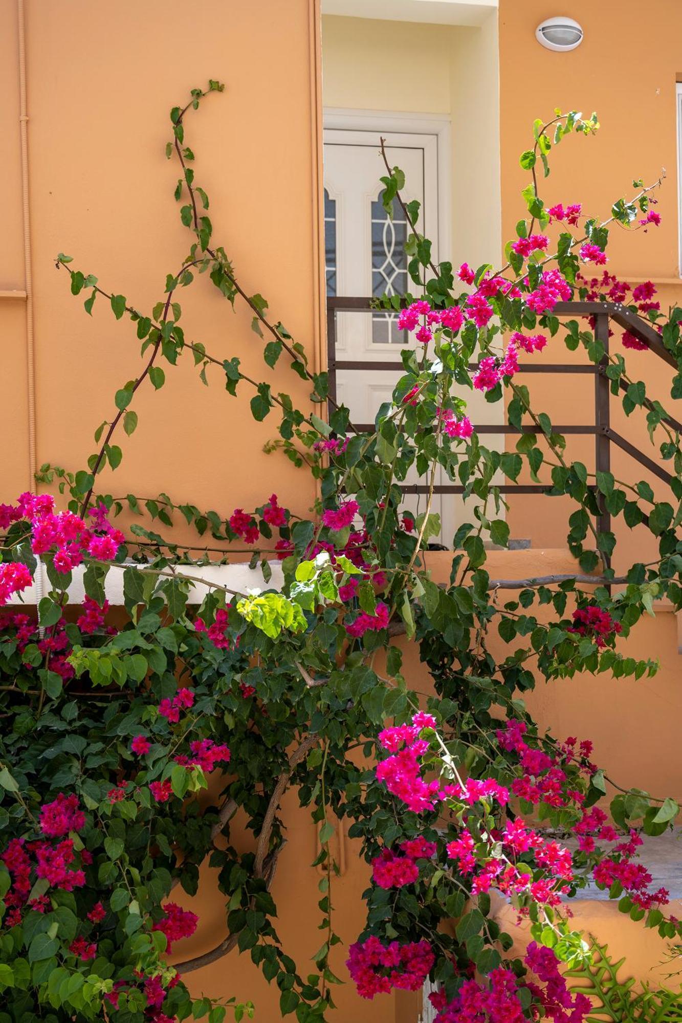 Katerina Rooms & Studios Palekastro Ngoại thất bức ảnh